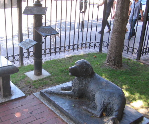 Bum waits faithfully downtown next to the William Heath Davis House museum.