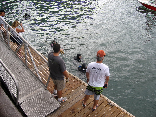 Power Scuba and Control Group teamed up for downtown waterfront cleanup event.