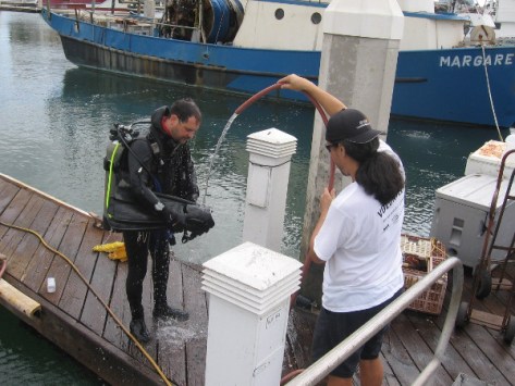 Scuba diver gets hosed off on Tuna Harbor dock after gathering trash.