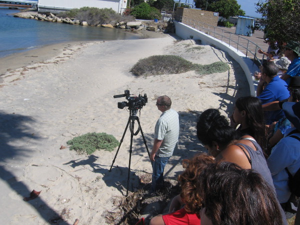 People gather above the small beach at Ballast Point on Naval Base Point Loma.