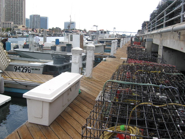 Lobster traps lined up on a Tuna Harbor dock.