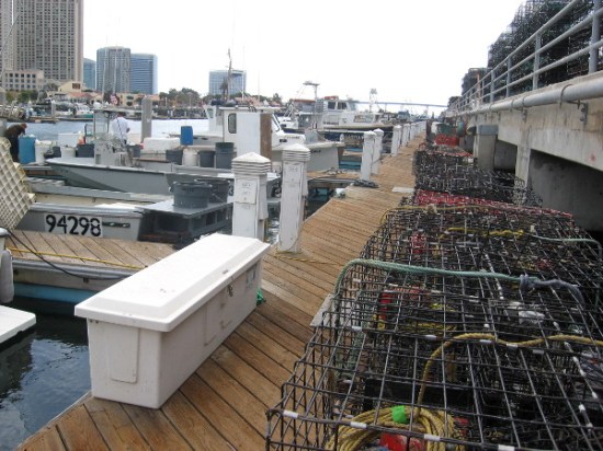 Lobster traps lined up on a Tuna Harbor dock.