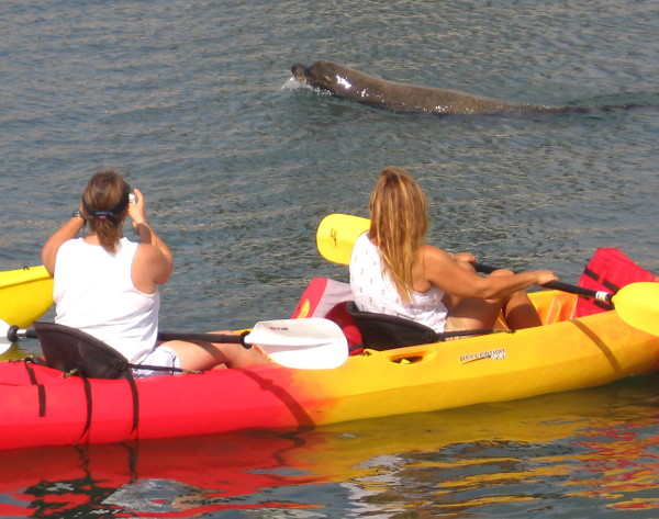 It's the kayakers! Wally comes on by to look things over and say hello.