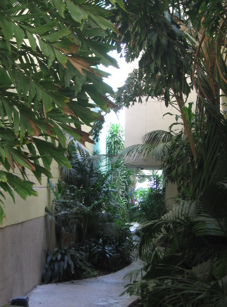 Walking through narrow Canyon Path between buildings.