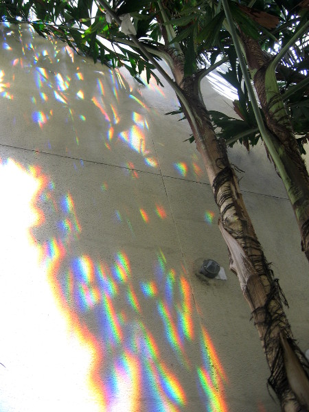 Colorful light like a rainbow cast by prism kite onto building side.