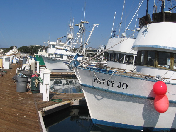 Gazing down one dock at a line of fishing vessels in San Diego.