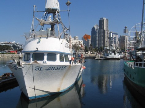 Downtown highrises in the blue sky behind a Tuna Harbor boat.