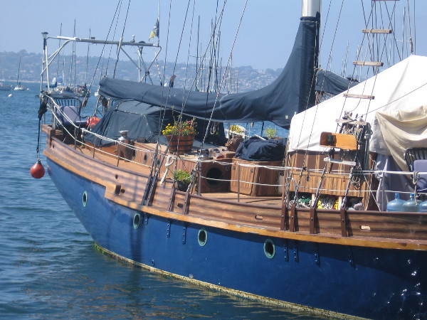 This boat has a nice potted garden for a backyard.