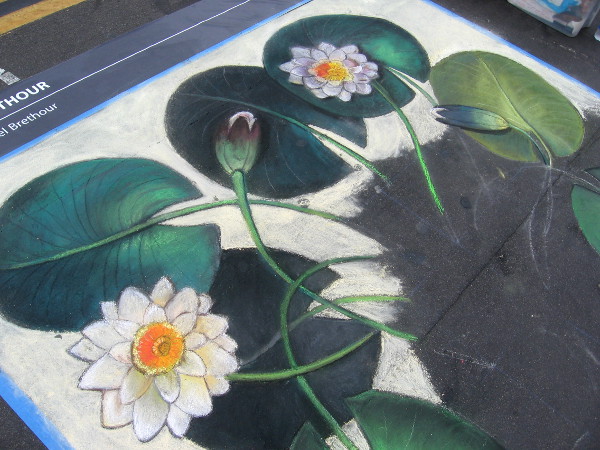 Lisa Bernal Brethour chalk art reproduces sketches of a famous botanist.