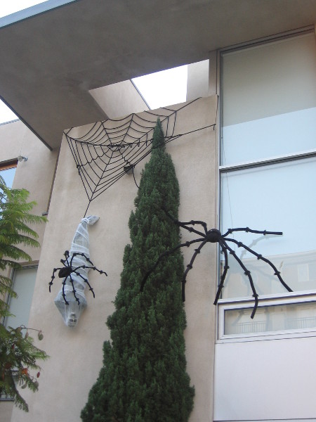 Spiders on side of Little Italy building wrap a skeleton.