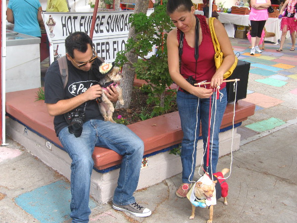 A puppet-dog prepares for the canine costume competition in Spanish Village.