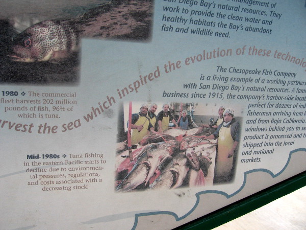 Sign contrasts abundant catch of 1980 with the decline of tuna fishing in mid 80's.