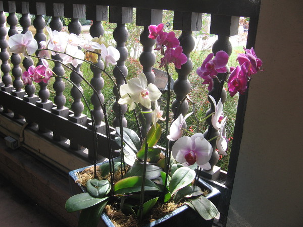 A sample of the natural beauty found in this special place.