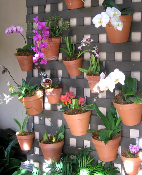 A section of wall bright with colorful blooms.