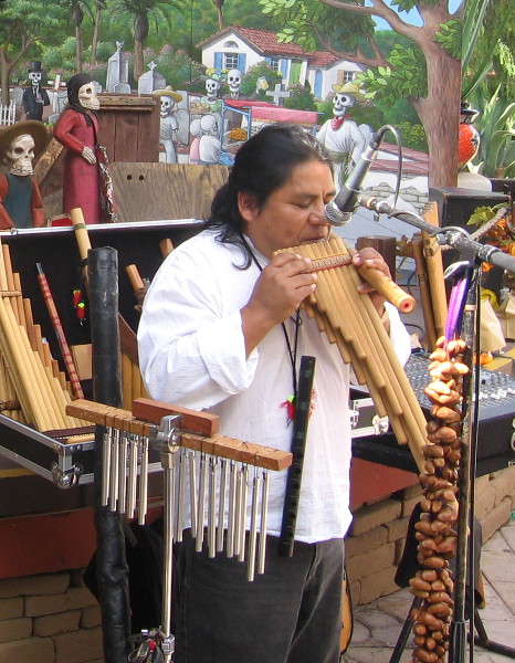 Musician entertains at Old Town's Day of the Dead festivities.