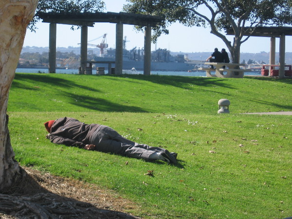 Person lies face down on grass in San Diego's Embarcadero Marina Park North.