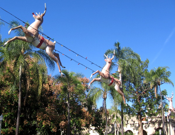 The flying reindeer take once more to the blue San Diego sky!