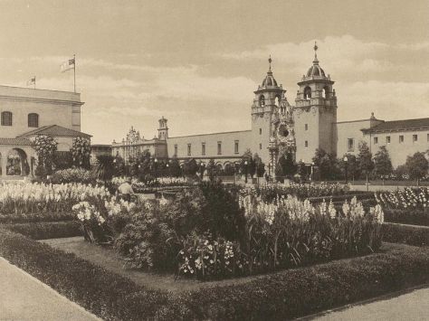 Expansive gardens near the Food Products Building. Today's enormous Moreton Fig Tree was planted in 1914 near this location.