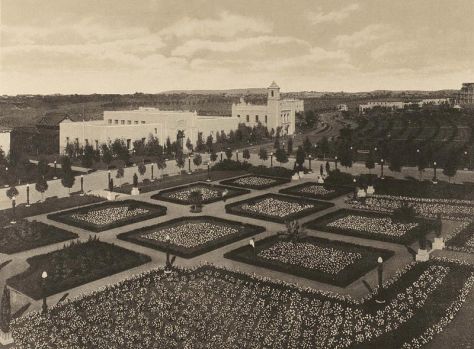 Citrus and other gardens in a wide north section of the Panama-California Exposition. This is near the entrance of today's San Diego Zoo.
