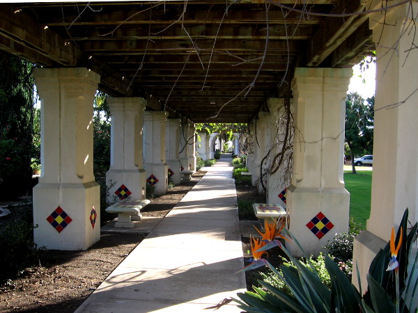 A pleasant stroll past bird of paradise flowers.