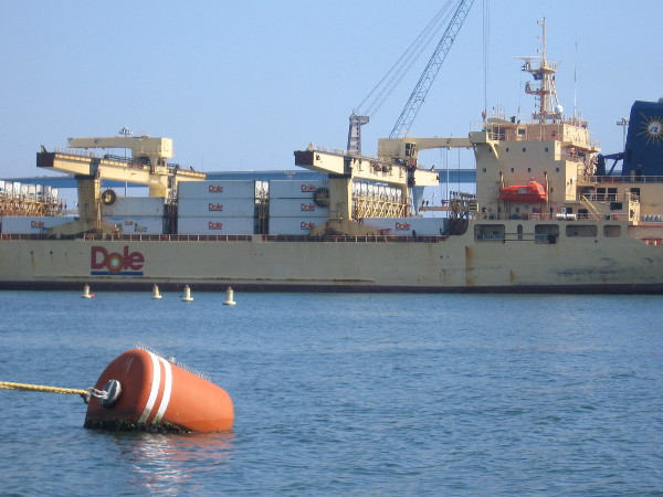 Huge Dole cargo ship brings in millions of bananas from Central America.