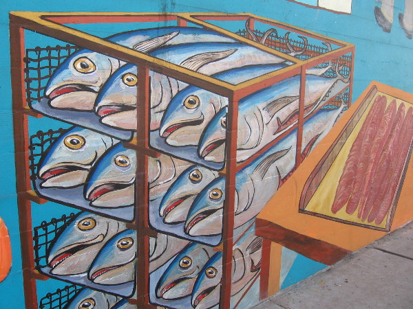 Fish caught in local waters just off San Diego.