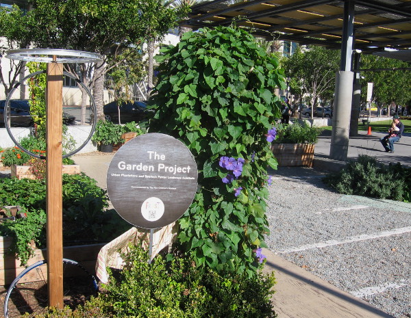 Small garden plot beside children's play area contains flowers and a few edible plants.