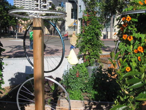Bicycle wheels and a couple scarecrows add to the fun in the Garden Project.