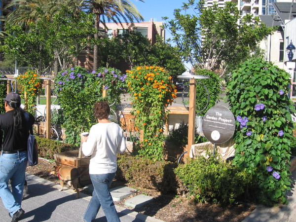 A beautiful sight greets pedestrians strolling down Martin Luther King Jr. Promenade.