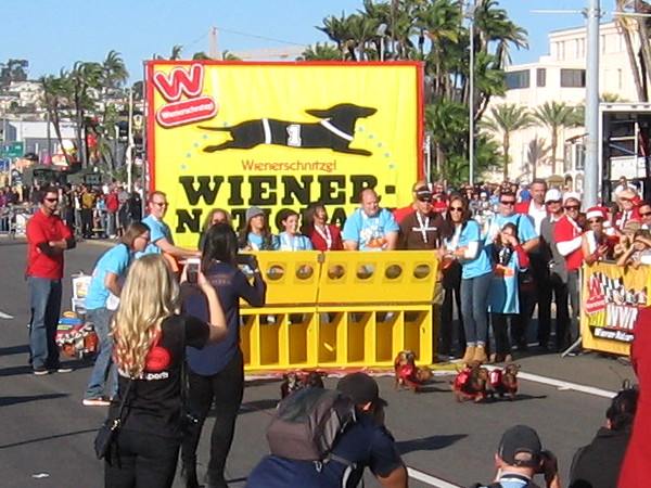 And here's the start to the final race that determined the four-legged national champ!