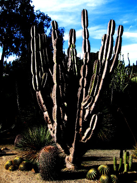 Now I'm radically altering some pics.