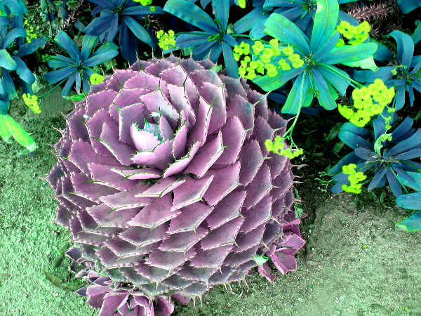 I completely changed these colors just for fun!