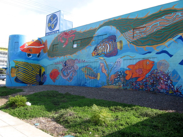 This north-facing wall contains lots of bright aquatic life!