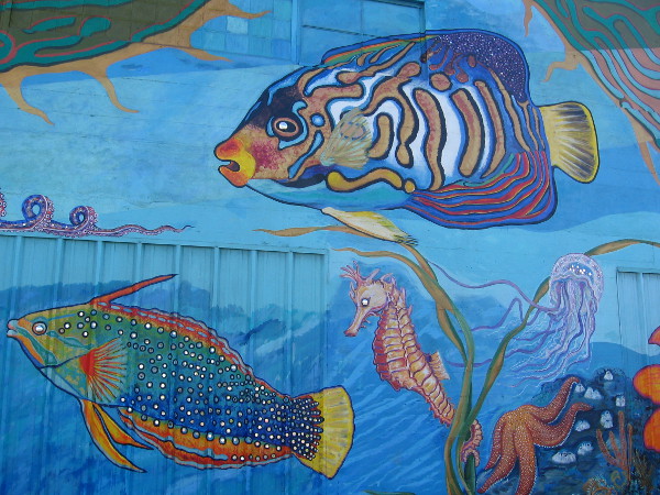 Beautifully painted fish, a seahorse, jellyfish and starfish.