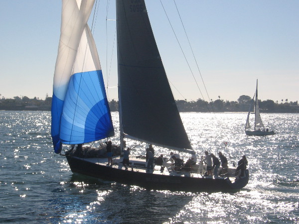 Sailboat leans on sparkling water of our endlessly fascinating big bay.