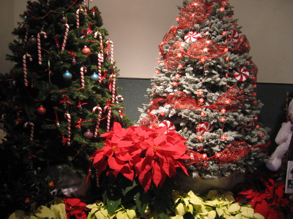 San Diego Floral Association hosted many Christmas trees created by local folk.