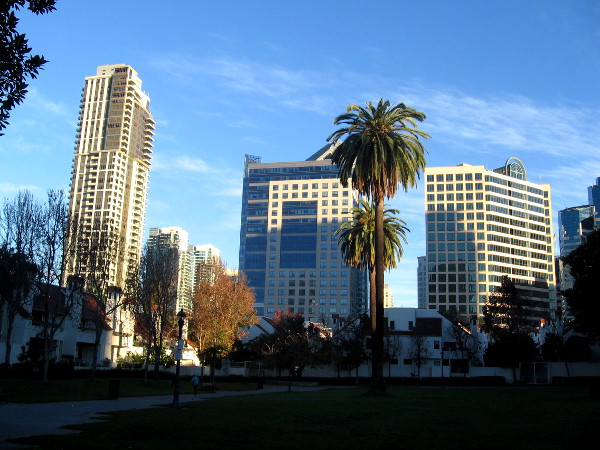 View of skyscrapers from Pantoja Park in San Diego's Marina District.