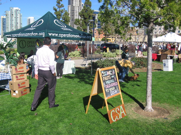 Lots of local organizations and vendors had cool stuff on display and for sale.