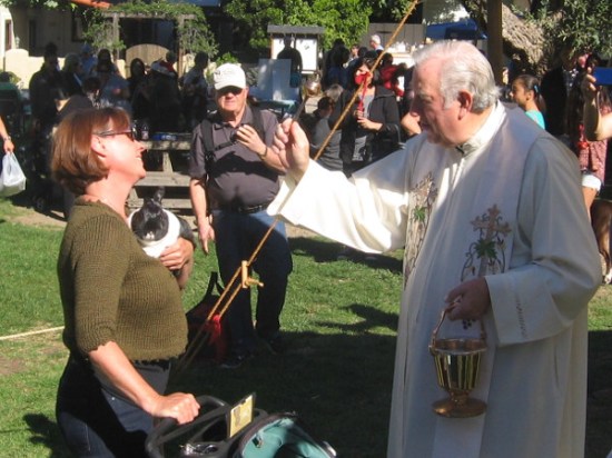 Bunny rabbits need blessings as much as any other creature.