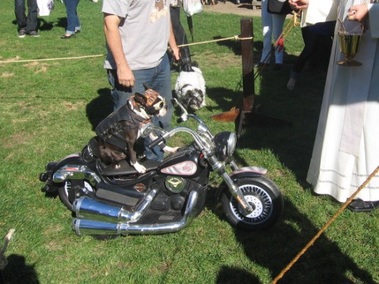 Chopper rides his motorcycle up to the priest for a sprinkling of holy water.