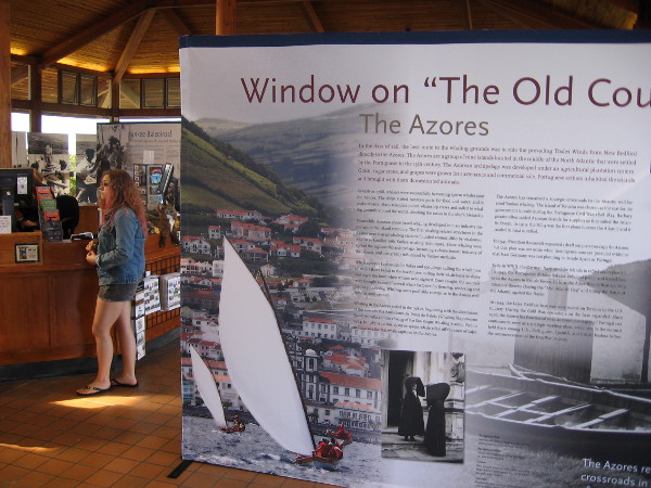 The fantastic displays are museum quality and extremely informative.