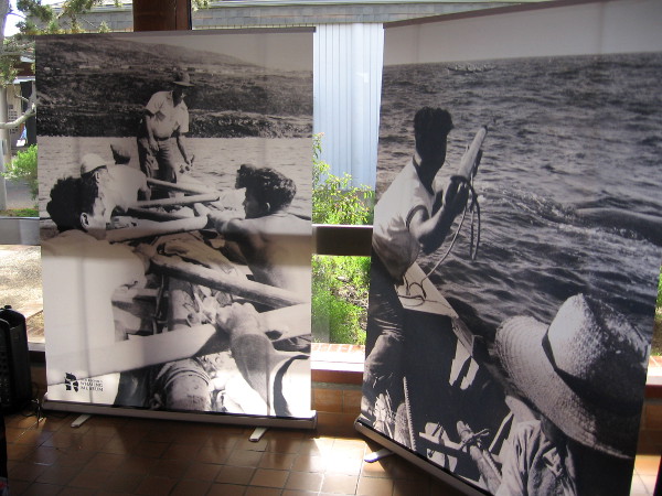 Photos of sailors rowing out to hunt whales, and a harpooner at the ready.