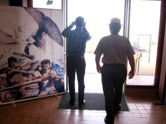 Is there a whale out there? Probably not. This back door faces San Diego Bay!