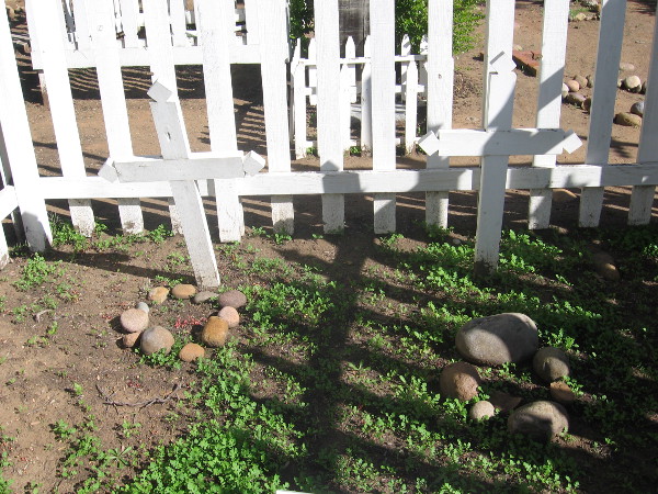 Juan Maria Marron was a ship's captain who became prominent politically.