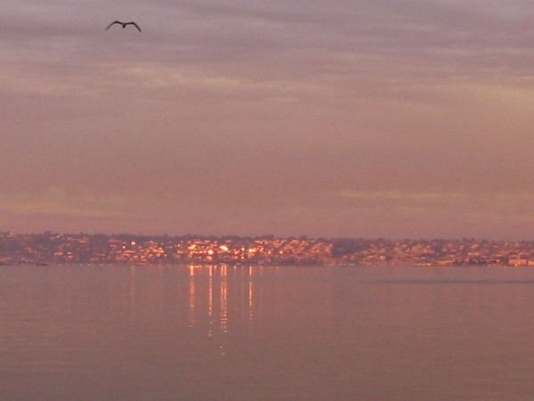 Morning light is reflected jewel-like from Point Loma's windows across the bay.