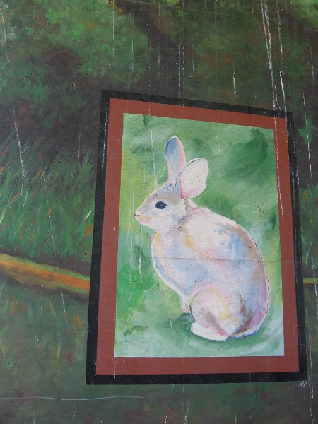 A rabbit that's still enough to be captured by my camera!