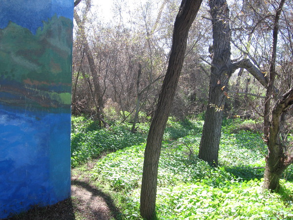 Beyond lies actual open space. Lush vegetation provides shelter for wildlife near river.
