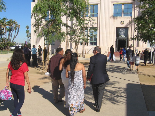 Brides, grooms and guests approach County Administration Building on Valentine's Day.