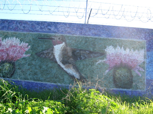 A hummingbird hovers above brightly sunlit vegetation.