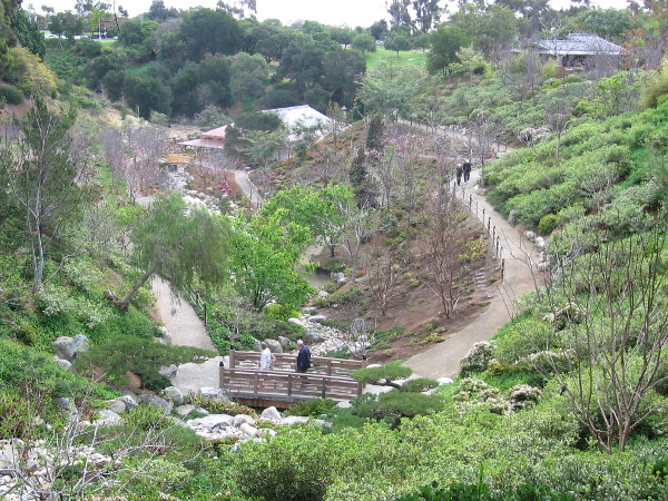 View of the Japanese Friendship Garden expansion in Balboa Park canyon.